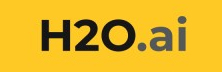H2O.ai - Top Govt Tech Startups H2O.ai