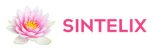 Sintelix - Top Homeland Security Companies Sintelix